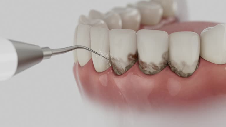 Reliable Dental contractor in Crescent City, FL by Dentist Open Now
